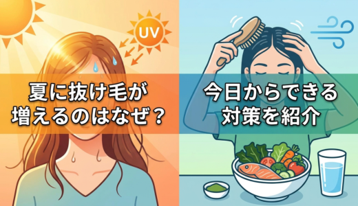 夏に抜け毛が増えるのはなぜ？今日からできる対策を紹介